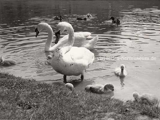 Leipzig 1969, Horst Stahl Leipzig