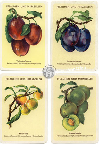Quartett Beeren und Früchte