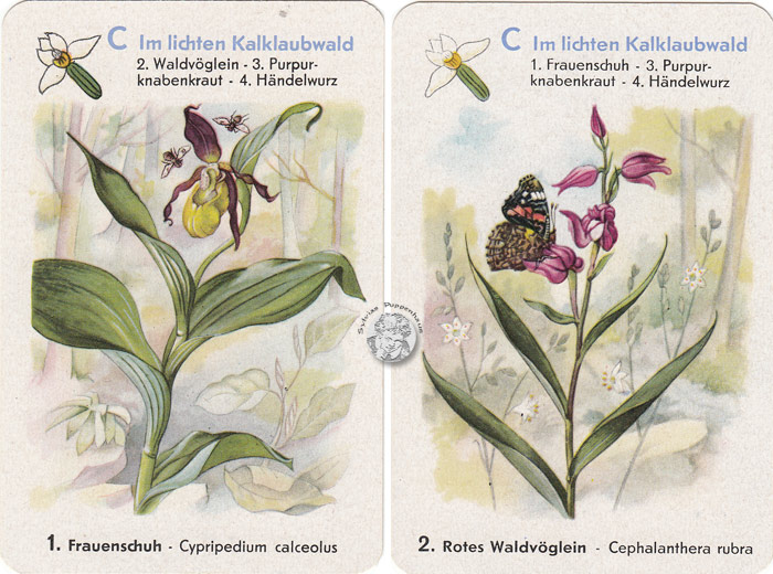 Geschützte Pflanzen - Naturschutz-Quartett I, DDR