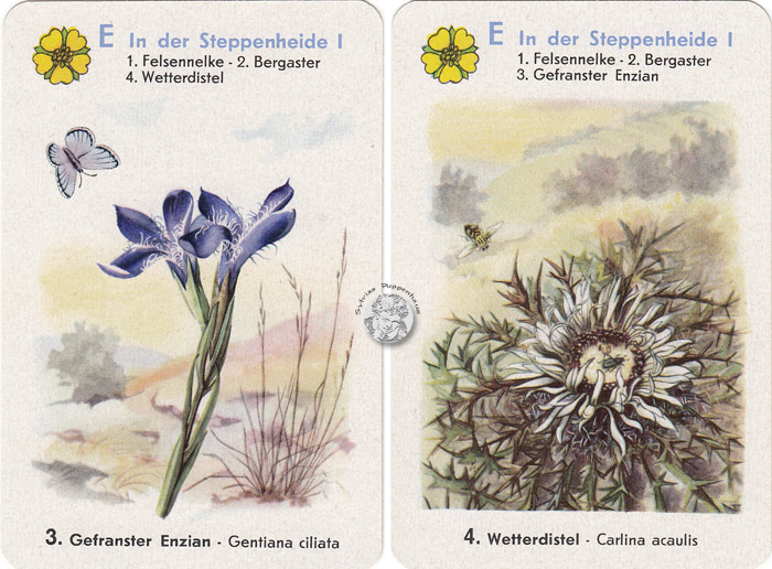 Geschützte Pflanzen - Naturschutz-Quartett I, DDR